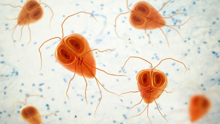 Illustration of Giardia lamblia protozoa with oval bodies, flagella, and two nuclei, shown in an aquatic microscopic environment.